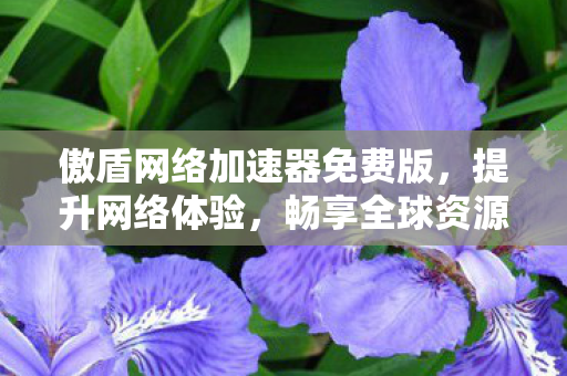 傲盾网络加速器免费版,提升网络体验,畅享全球资源 傲盾网络加速器免费版,提升网络体验,畅享全球资源