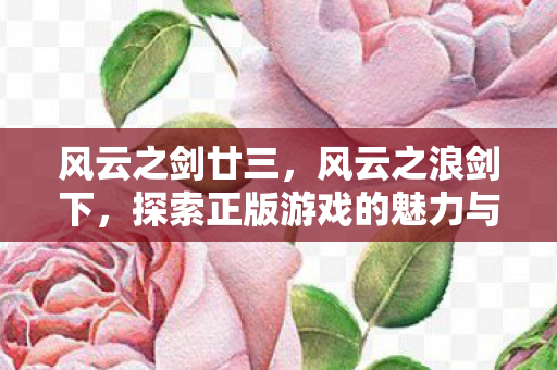 风云之剑廿三，风云之浪剑下，探索正版游戏的魅力与未来