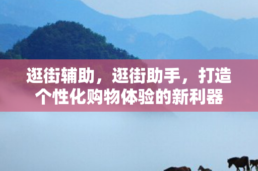逛街辅助，逛街助手，打造个性化购物体验的新利器