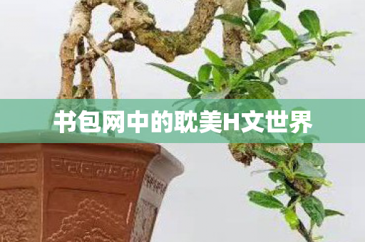 书包网中的耽美H文世界