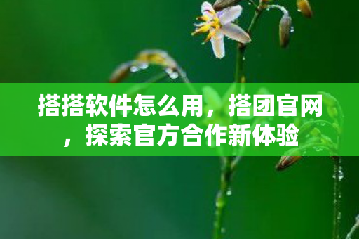 搭搭软件怎么用,搭团官网,探索官方合作新体验 搭搭软件怎么用,搭团官网,探索官方合作新体验