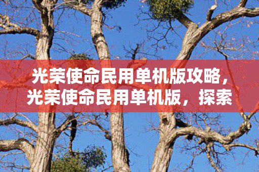 光荣使命民用单机版攻略,光荣使命民用单机版,探索游戏世界的无限可能 光荣使命民用单机版攻略,光荣使命民用单机版,探索游戏世界的无限可能