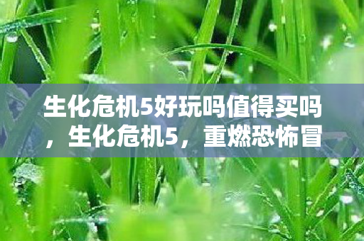 生化危机5好玩吗值得买吗，生化危机5，重燃恐怖冒险的激情