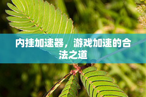 内挂加速器,游戏加速的合法之道 内挂加速器,游戏加速的合法之道
