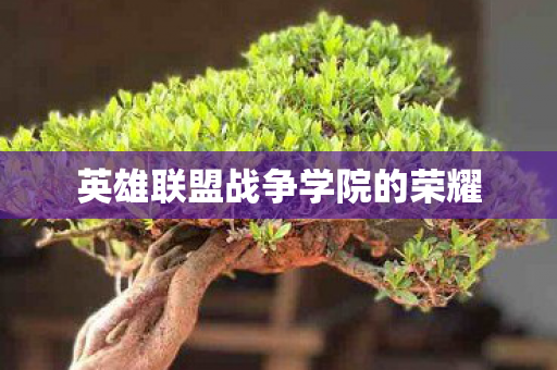 英雄联盟战争学院的荣耀 英雄联盟战争学院的荣耀