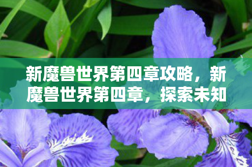 新魔兽世界第四章攻略,新魔兽世界第四章,探索未知,挑战极限 新魔兽世界第四章攻略,新魔兽世界第四章,探索未知,挑战极限
