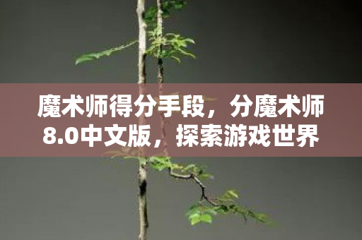 魔术师得分手段,分魔术师8.0中文版,探索游戏世界的无限可能 魔术师得分手段,分魔术师8.0中文版,探索游戏世界的无限可能