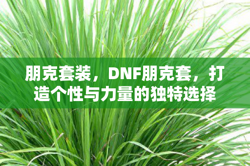 朋克套装,DNF朋克套,打造个性与力量的独特选择 朋克套装,DNF朋克套,打造个性与力量的独特选择