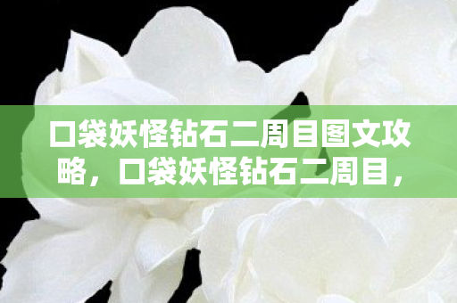 口袋妖怪钻石二周目图文攻略，口袋妖怪钻石二周目，深度解析与攻略指南