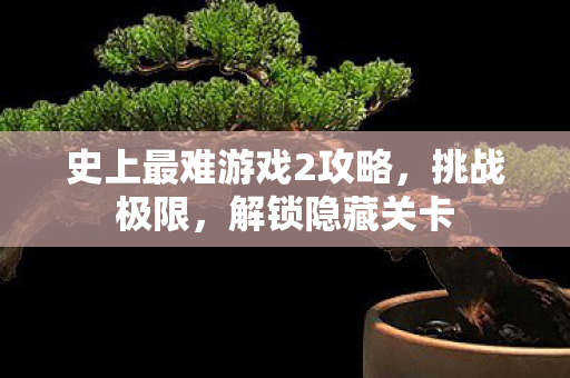 史上最难游戏2攻略，挑战极限，解锁隐藏关卡