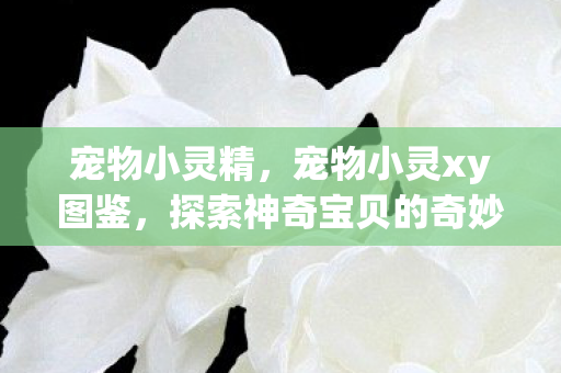 宠物小灵精,宠物小灵xy图鉴,探索神奇宝贝的奇妙世界 宠物小灵精,宠物小灵xy图鉴,探索神奇宝贝的奇妙世界