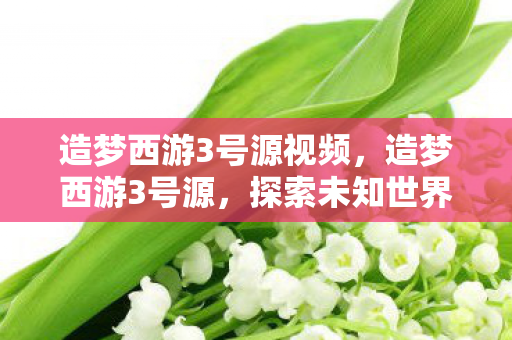 造梦西游3号源视频,造梦西游3号源,探索未知世界的奇幻之旅 造梦西游3号源视频,造梦西游3号源,探索未知世界的奇幻之旅