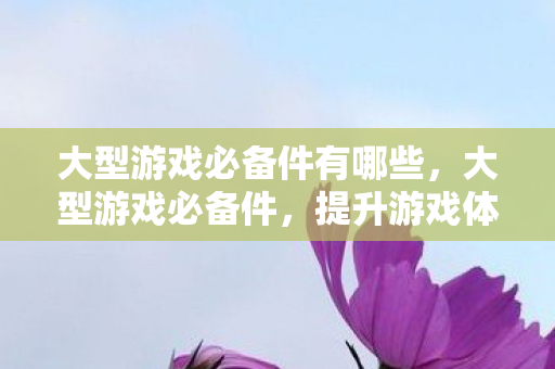大型游戏必备件有哪些,大型游戏必备件,提升游戏体验的关键要素 大型游戏必备件有哪些,大型游戏必备件,提升游戏体验的关键要素