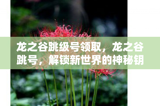 龙之谷跳级号领取,龙之谷跳号,解锁新世界的神秘钥匙 龙之谷跳级号领取,龙之谷跳号,解锁新世界的神秘钥匙