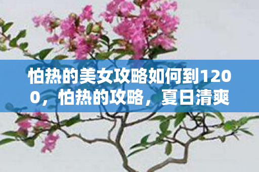 怕热的美女攻略如何到1200,怕热的攻略,夏日清爽出行指南 怕热的美女攻略如何到1200,怕热的攻略,夏日清爽出行指南