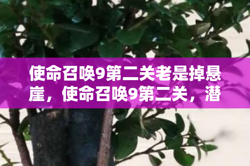 使命召唤9第二关老是掉悬崖,使命召唤9第二关,潜入敌后,危机四伏 使命召唤9第二关老是掉悬崖,使命召唤9第二关,潜入敌后,危机四伏