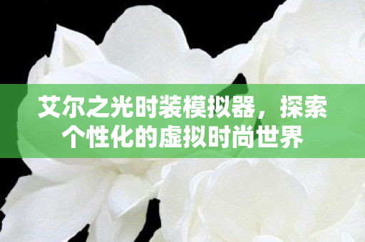 艾尔之光时装模拟器,探索个性化的虚拟时尚世界 艾尔之光时装模拟器,探索个性化的虚拟时尚世界