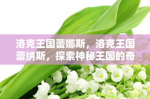 洛克王国蕾娜斯,洛克王国蕾纳斯,探索神秘王国的奇幻之旅 洛克王国蕾娜斯,洛克王国蕾纳斯,探索神秘王国的奇幻之旅