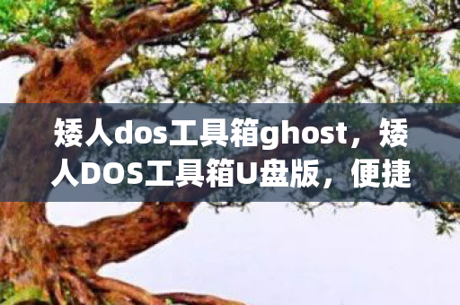 矮人dos工具箱ghost，矮人DOS工具箱U盘版，便捷高效的系统维护利器