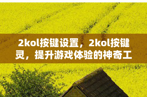 2kol按键设置,2kol按键灵,提升游戏体验的神奇工具 2kol按键设置,2kol按键灵,提升游戏体验的神奇工具