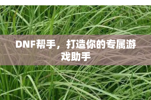 DNF帮手，打造你的专属游戏助手