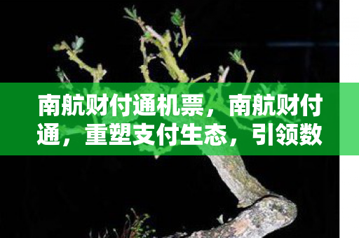 南航财付通机票,南航财付通,重塑支付生态,引领数字金融新未来 南航财付通机票,南航财付通,重塑支付生态,引领数字金融新未来