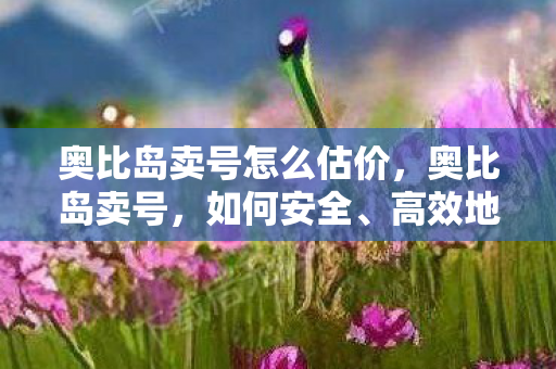 奥比岛卖号怎么估价,奥比岛卖号,如何安全、高效地出售你的游戏账号 奥比岛卖号怎么估价,奥比岛卖号,如何安全、高效地出售你的游戏账号