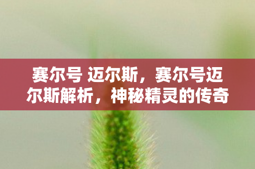 赛尔号 迈尔斯，赛尔号迈尔斯解析，神秘精灵的传奇之旅