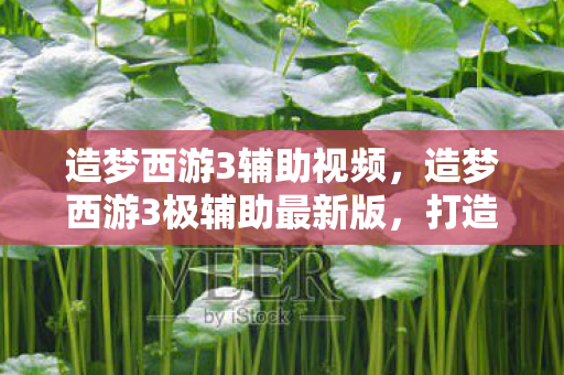 造梦西游3辅助视频，造梦西游3极辅助最新版，打造你的西游梦