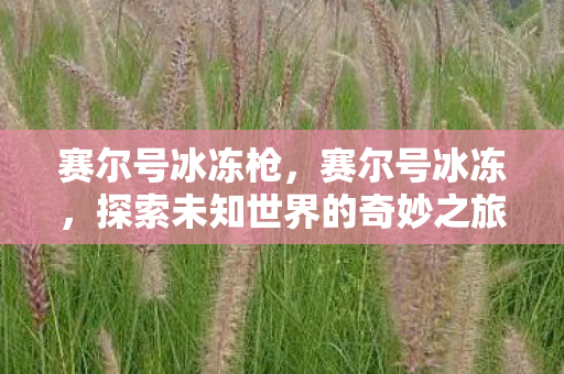 赛尔号冰冻枪,赛尔号冰冻,探索未知世界的奇妙之旅 赛尔号冰冻枪,赛尔号冰冻,探索未知世界的奇妙之旅