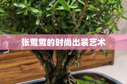 张莺莺的时尚出装艺术 张莺莺的时尚出装艺术