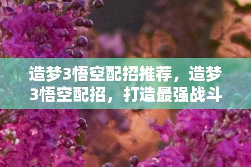 造梦3悟空配招推荐,造梦3悟空配招,打造最强战斗猴王 造梦3悟空配招推荐,造梦3悟空配招,打造最强战斗猴王