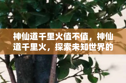 神仙道千里火值不值,神仙道千里火,探索未知世界的奇幻之旅 神仙道千里火值不值,神仙道千里火,探索未知世界的奇幻之旅