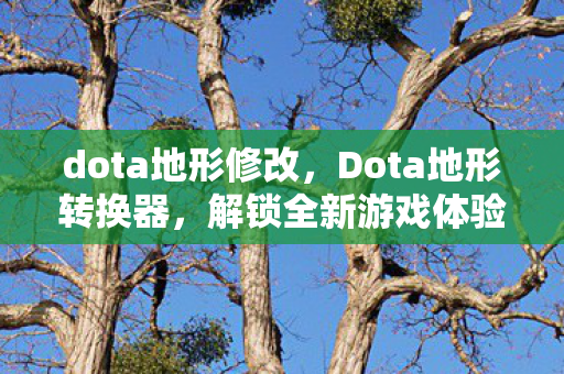 dota地形修改，Dota地形转换器，解锁全新游戏体验的神奇工具