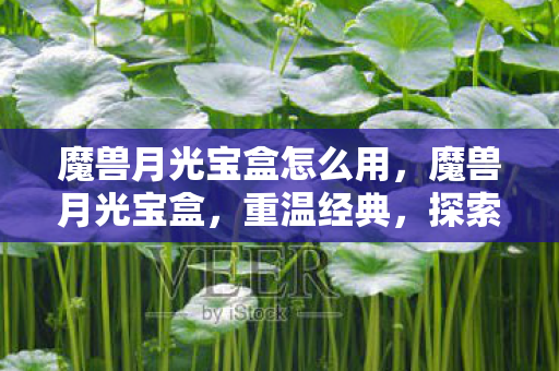 魔兽月光宝盒怎么用,魔兽月光宝盒,重温经典,探索未知 魔兽月光宝盒怎么用,魔兽月光宝盒,重温经典,探索未知