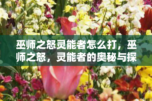 巫师之怒灵能者怎么打，巫师之怒，灵能者的奥秘与探索