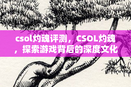 csol灼魂评测，CSOL灼魂，探索游戏背后的深度文化与玩家社群
