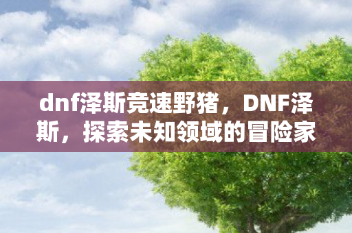 dnf泽斯竞速野猪，DNF泽斯，探索未知领域的冒险家