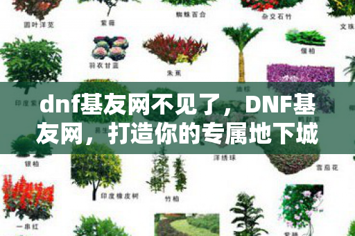 dnf基友网不见了，DNF基友网，打造你的专属地下城与勇士社交圈