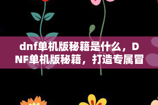 dnf单机版秘籍是什么，DNF单机版秘籍，打造专属冒险之旅