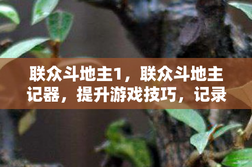 联众斗地主1,联众斗地主记器,提升游戏技巧,记录精彩瞬间 联众斗地主1,联众斗地主记器,提升游戏技巧,记录精彩瞬间