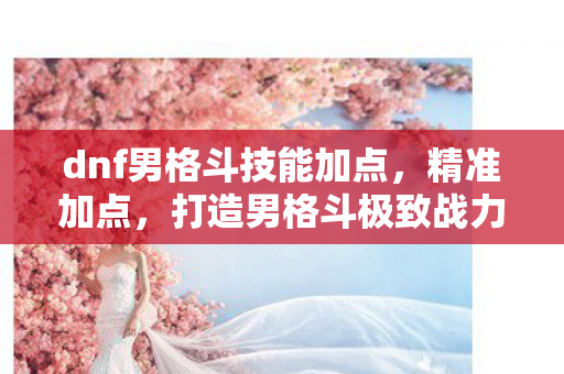 dnf男格斗技能加点,精准加点,打造男格斗极致战力 dnf男格斗技能加点,精准加点,打造男格斗极致战力