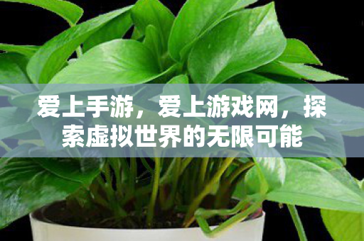 爱上手游,爱上游戏网,探索虚拟世界的无限可能 爱上手游,爱上游戏网,探索虚拟世界的无限可能