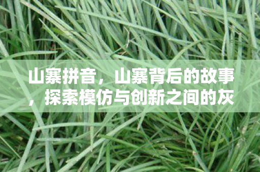 山寨拼音，山寨背后的故事，探索模仿与创新之间的灰色地带