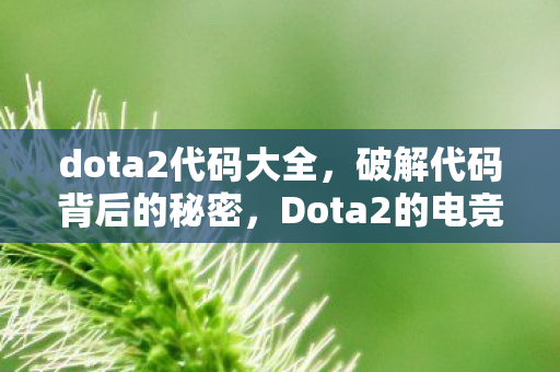 dota2代码大全，破解代码背后的秘密，Dota2的电竞之路与代码安全