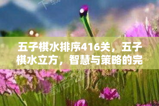 五子棋水排序416关，五子棋水立方，智慧与策略的完美融合
