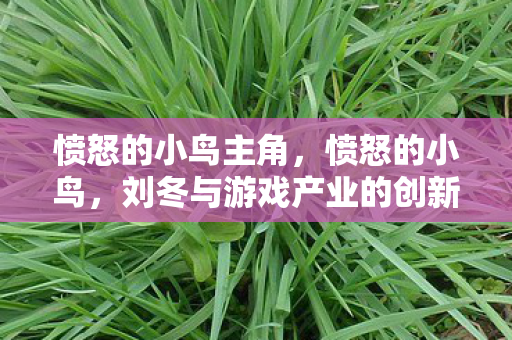 愤怒的小鸟主角,愤怒的小鸟,刘冬与游戏产业的创新之路 愤怒的小鸟主角,愤怒的小鸟,刘冬与游戏产业的创新之路