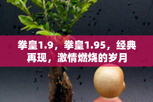 拳皇1.9,拳皇1.95,经典再现,激情燃烧的岁月 拳皇1.9,拳皇1.95,经典再现,激情燃烧的岁月