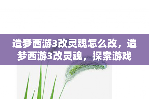 造梦西游3改灵魂怎么改,造梦西游3改灵魂,探索游戏内购与灵魂系统的深度解析 造梦西游3改灵魂怎么改,造梦西游3改灵魂,探索游戏内购与灵魂系统的深度解析