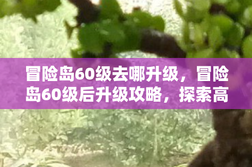 冒险岛60级去哪升级,冒险岛60级后升级攻略,探索高效提升之路 冒险岛60级去哪升级,冒险岛60级后升级攻略,探索高效提升之路